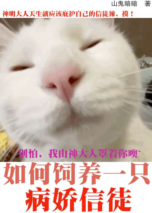 我靠神力拯救病娇信徒