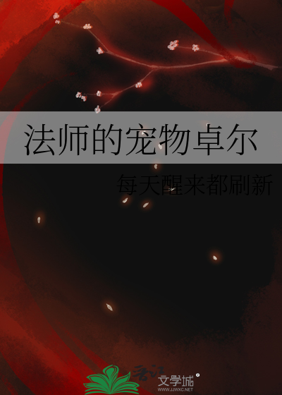 法师怎么抓宠物