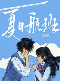 夏日航班小说讲什么