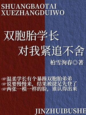 双胞胎学生小说