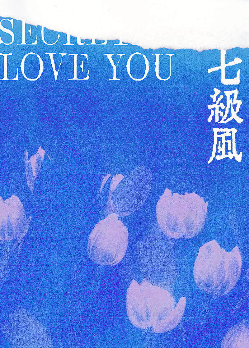 七级风小西饼讲什么