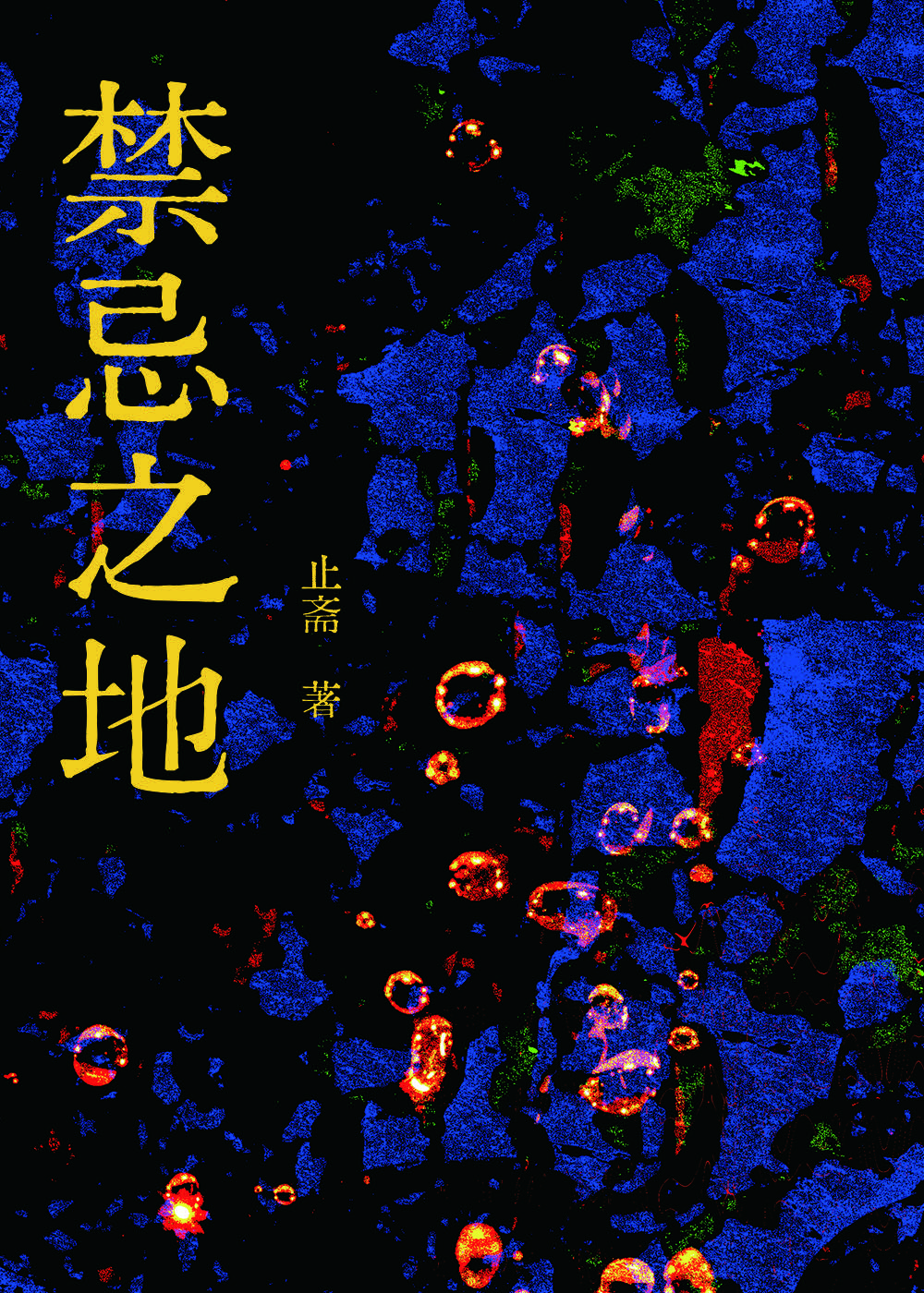 禁忌之地电影讲的什么意思