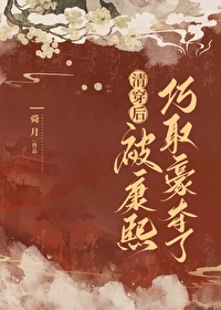 清穿康熙后宫女人的小说