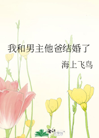 我和男主他爸结婚了小说