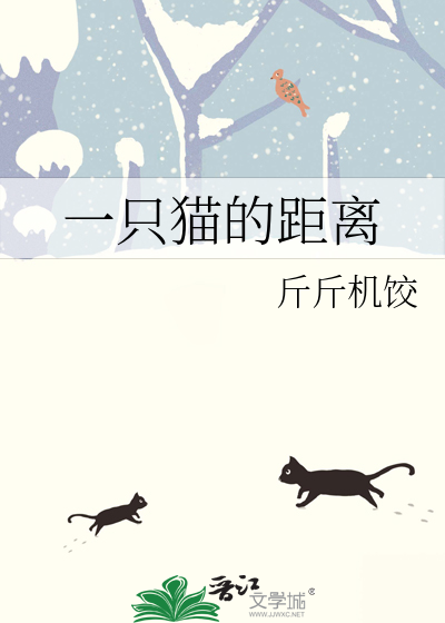距离猫是什么