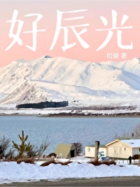 好辰光牌西洋参红景天黄芪