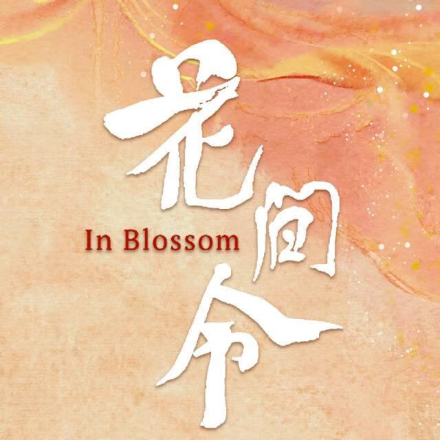 爱上一个哑巴