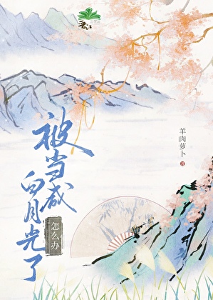 凹凸世界之旅人