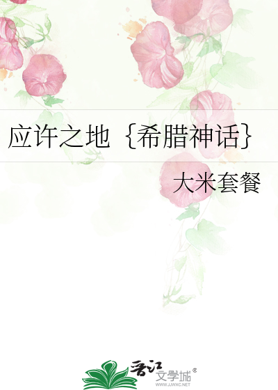 应许之地小说概况